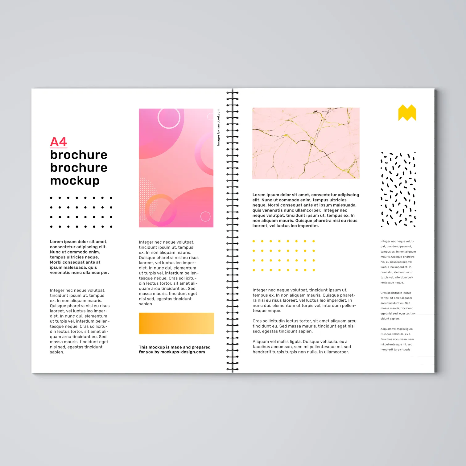 Impressão de Apostila A4 21x29,7cm colorida Sulfite 75g 2